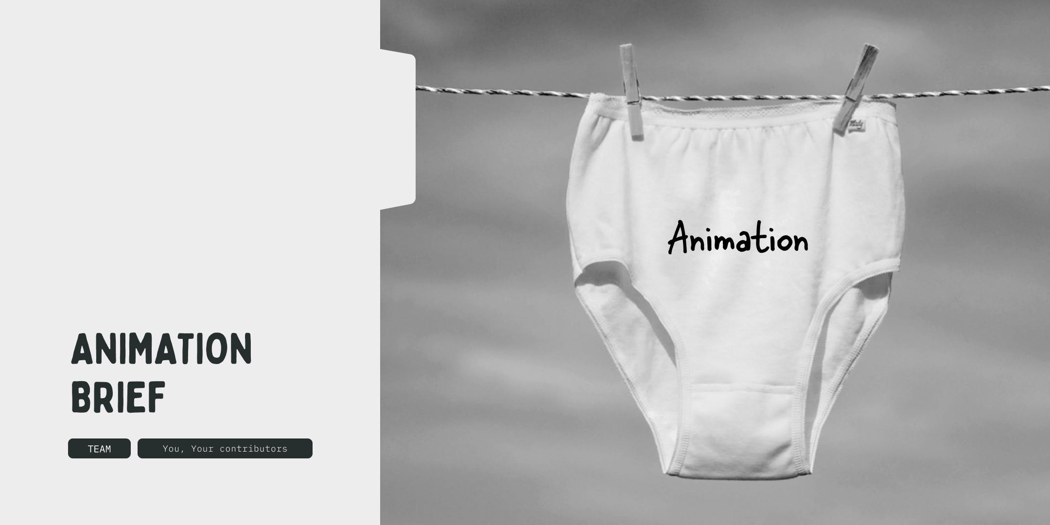 Animation brief