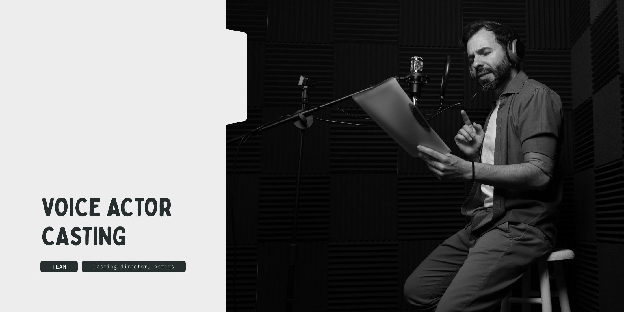 Voice actor casting