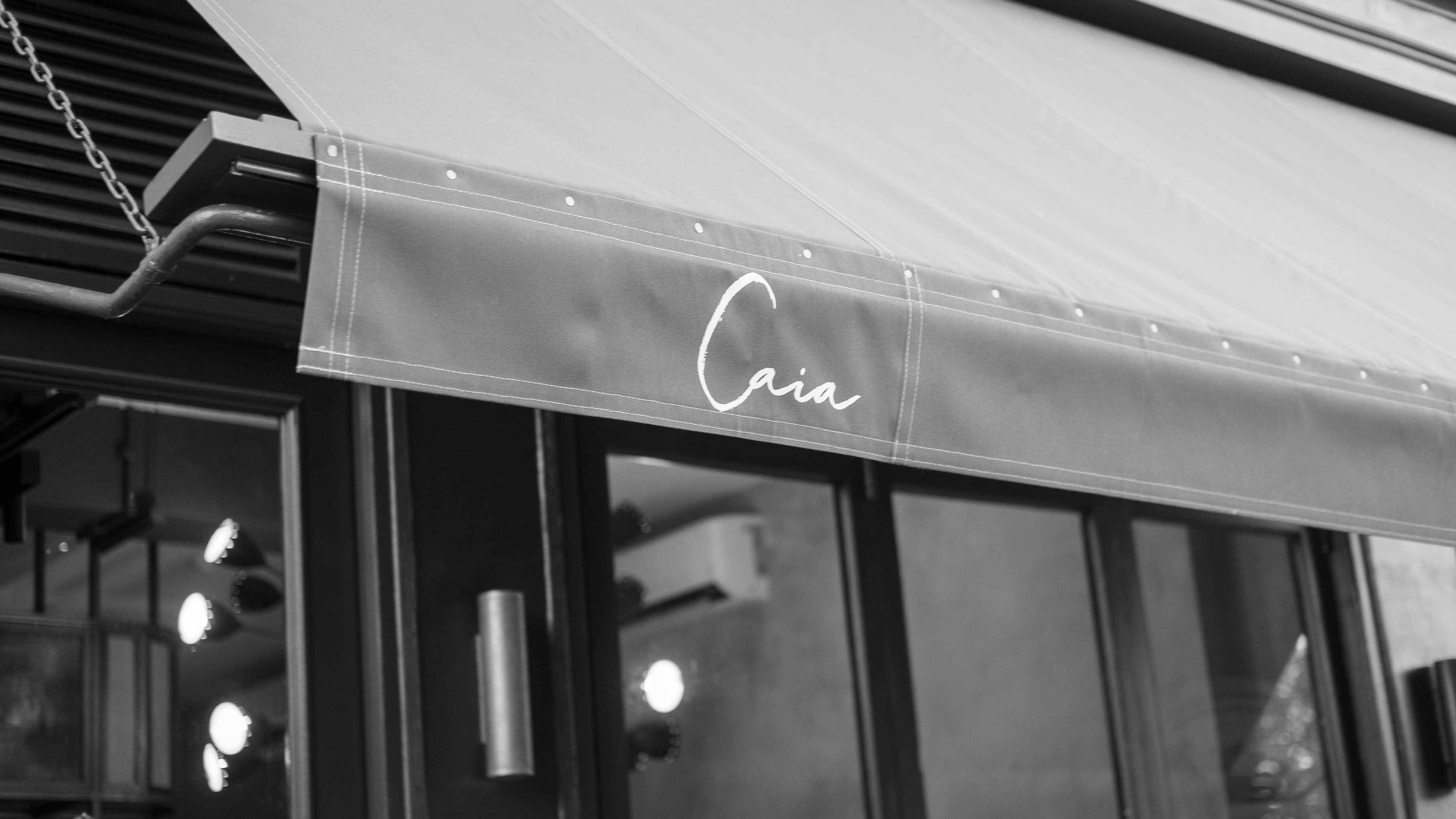 branding logo design