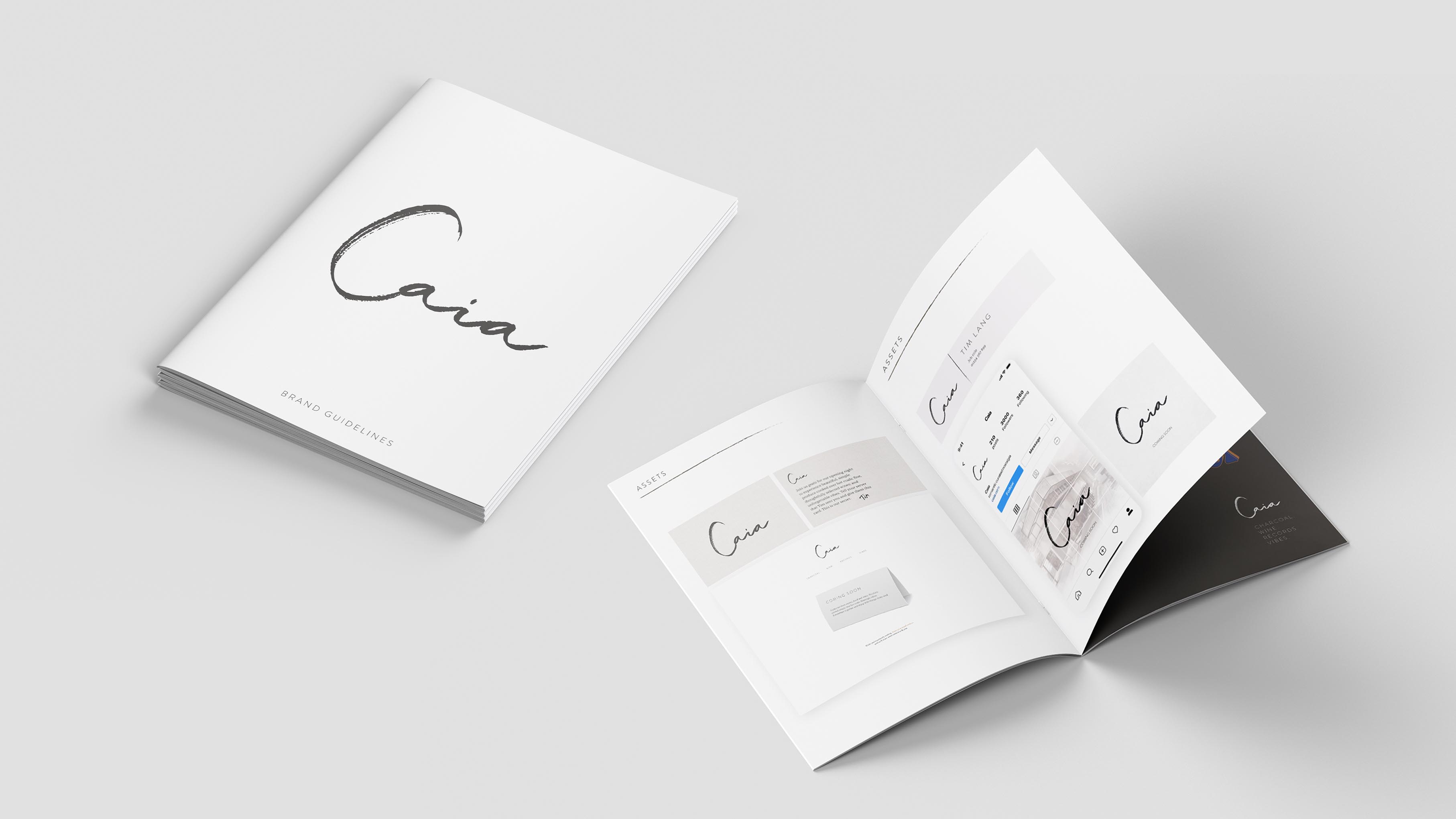 Brand guideline booklets for Caia