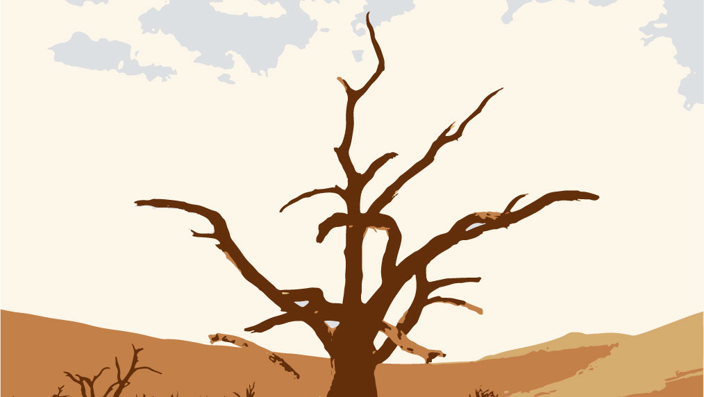 climate crisis