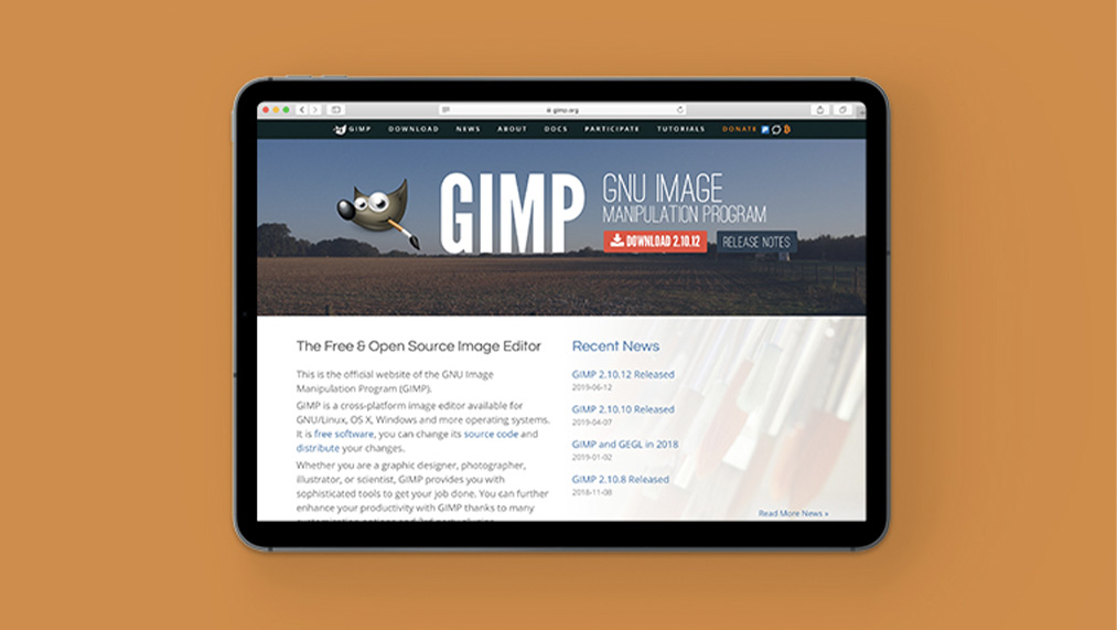 gimp