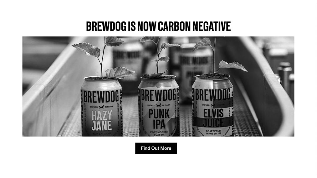 brewdog website
