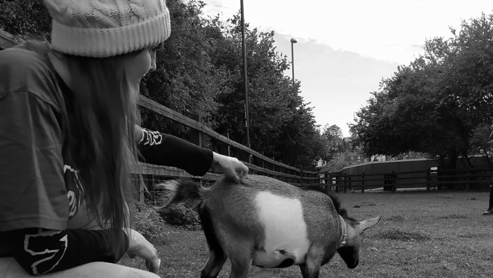 stonebridge city farm goat