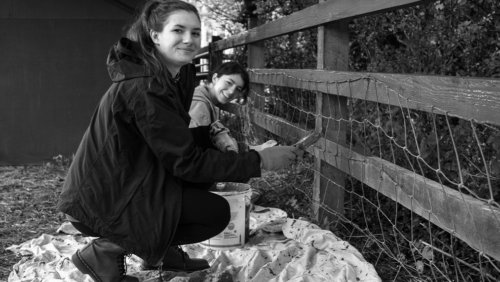 painting a fence