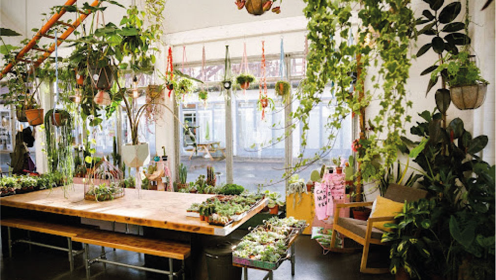 The Watered Garden, Nottingham