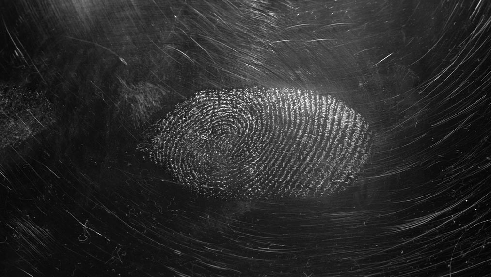 fingerprint