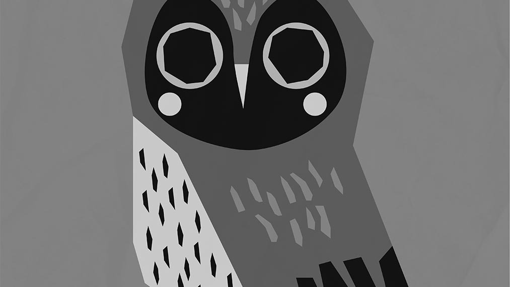 Blue owl