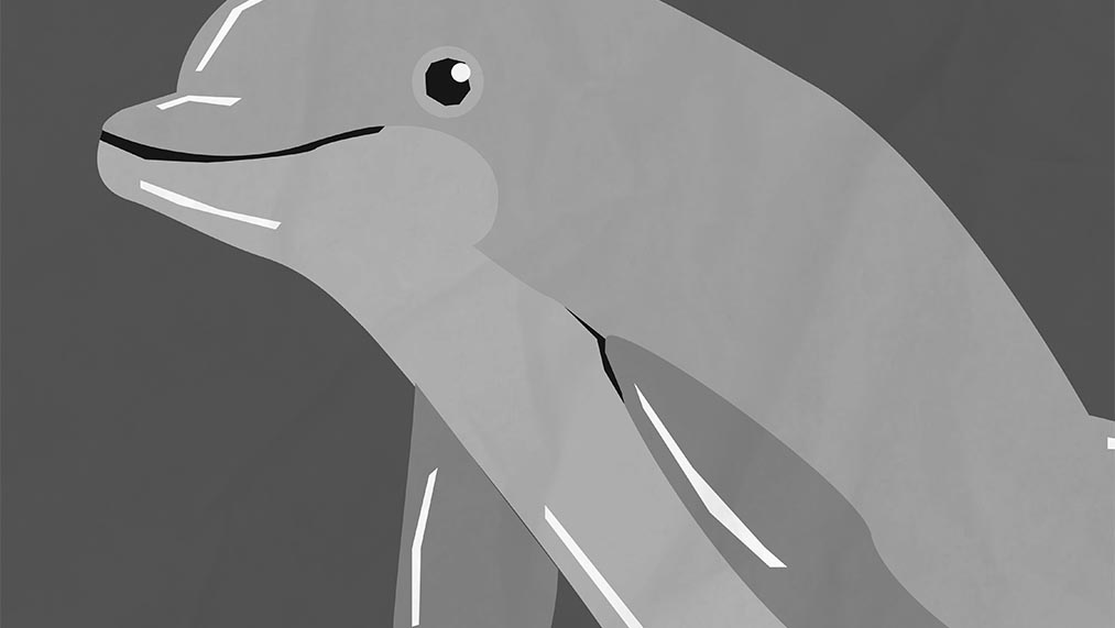 green dolphin
