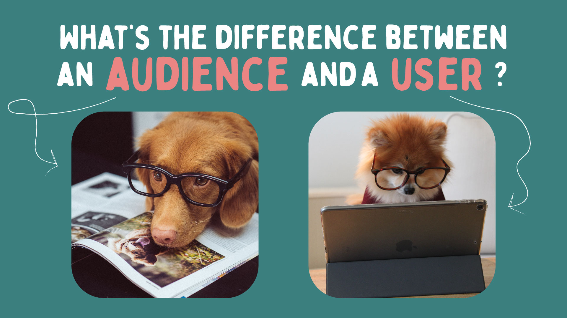 What's the difference between an audience and a user?