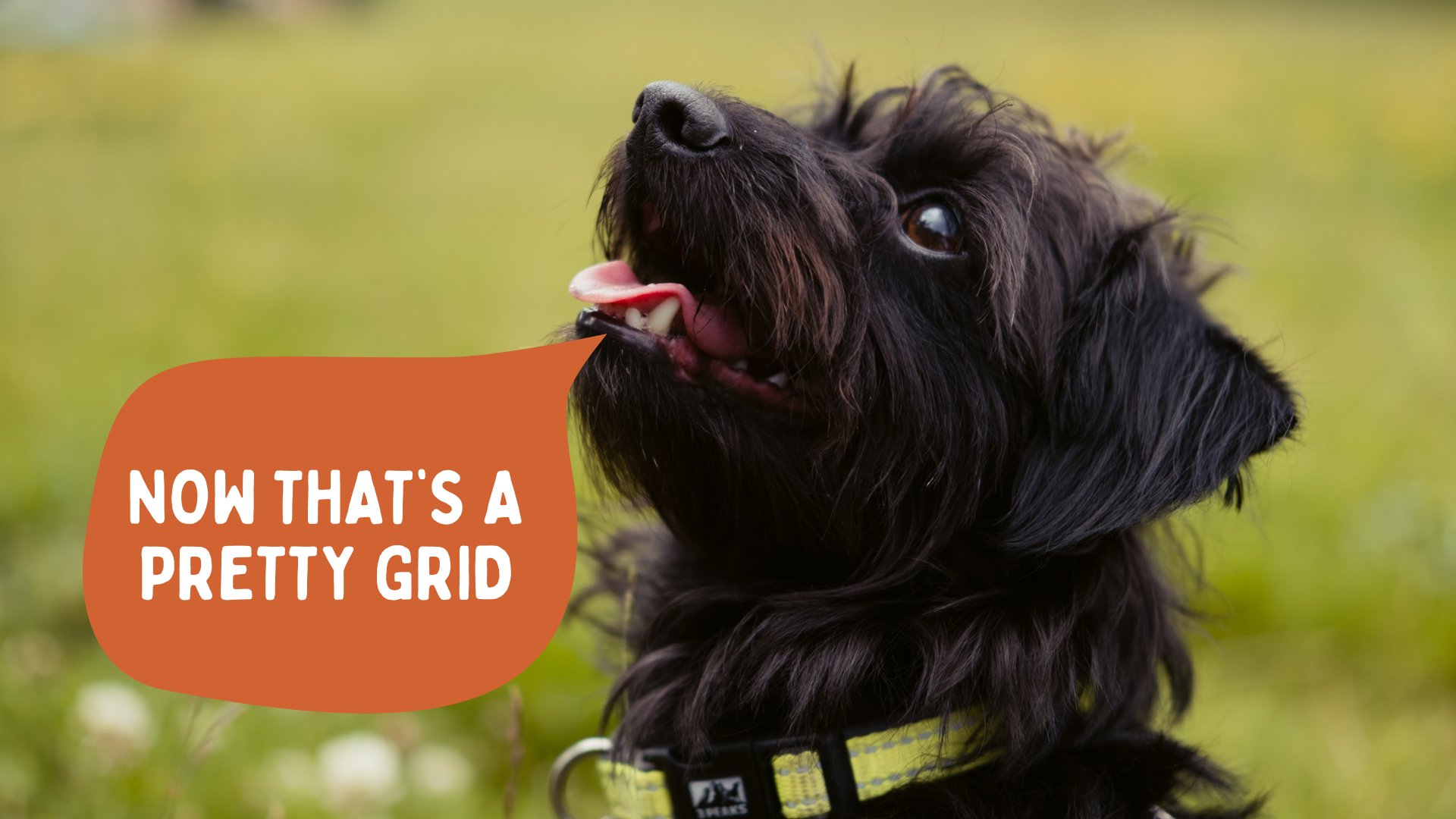 a cute picture of Snoopy, the office dog looking up and thinking 'now that's a pretty grid' in reference to seeing a pretty nice instagram grid